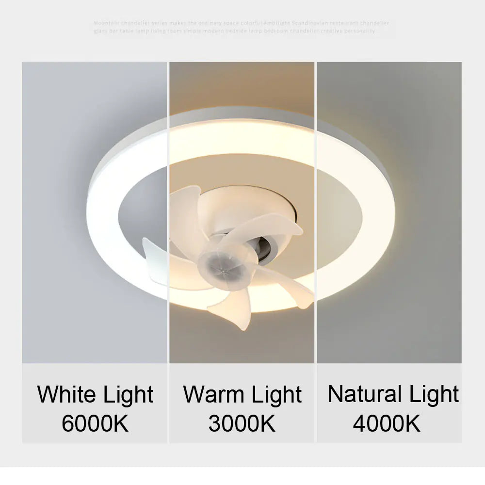 LED Ceiling Fan - Remote Control LED Ceiling Fan - Comf'home